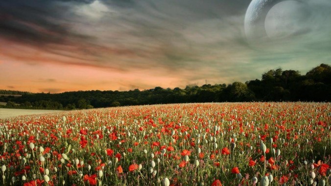 一个非常漂亮的残疾女孩，会有人愿意娶吗？